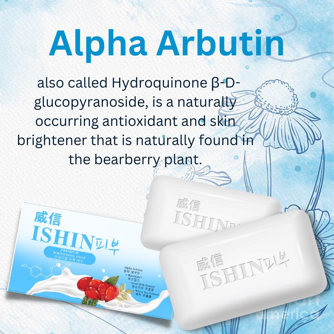Ishin Premium Soap 10 pcs in a box - True Beauty Skin Essentials