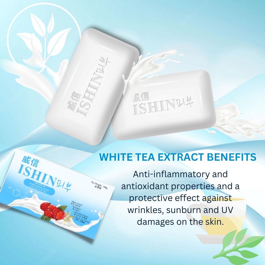 Ishin Premium Soap 10 pcs in a box - True Beauty Skin Essentials