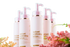 Her Choice Ph Instant Whitening Lotion - True Beauty Skin Essentials