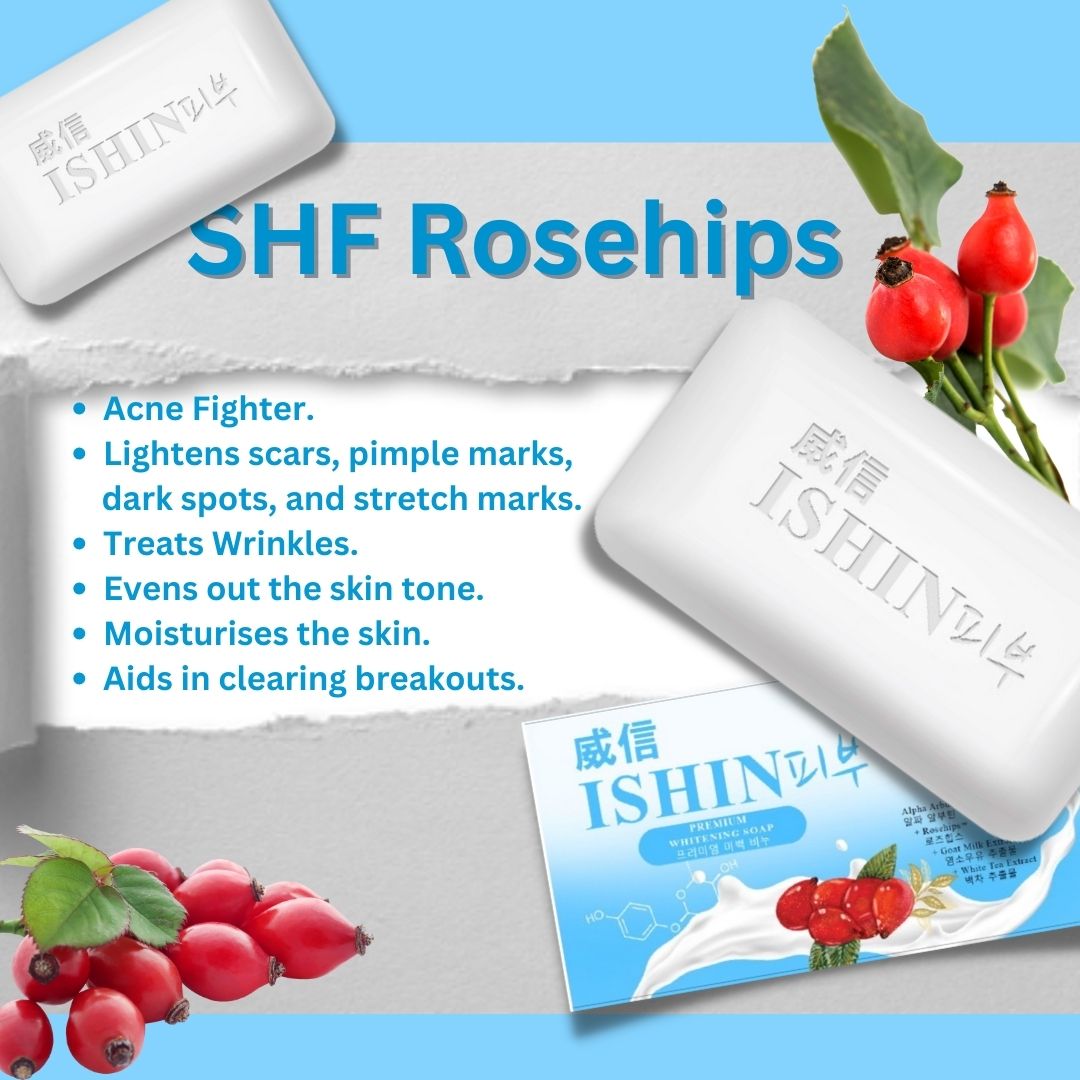 Ishin Premium Soap 10 pcs in a box - True Beauty Skin Essentials
